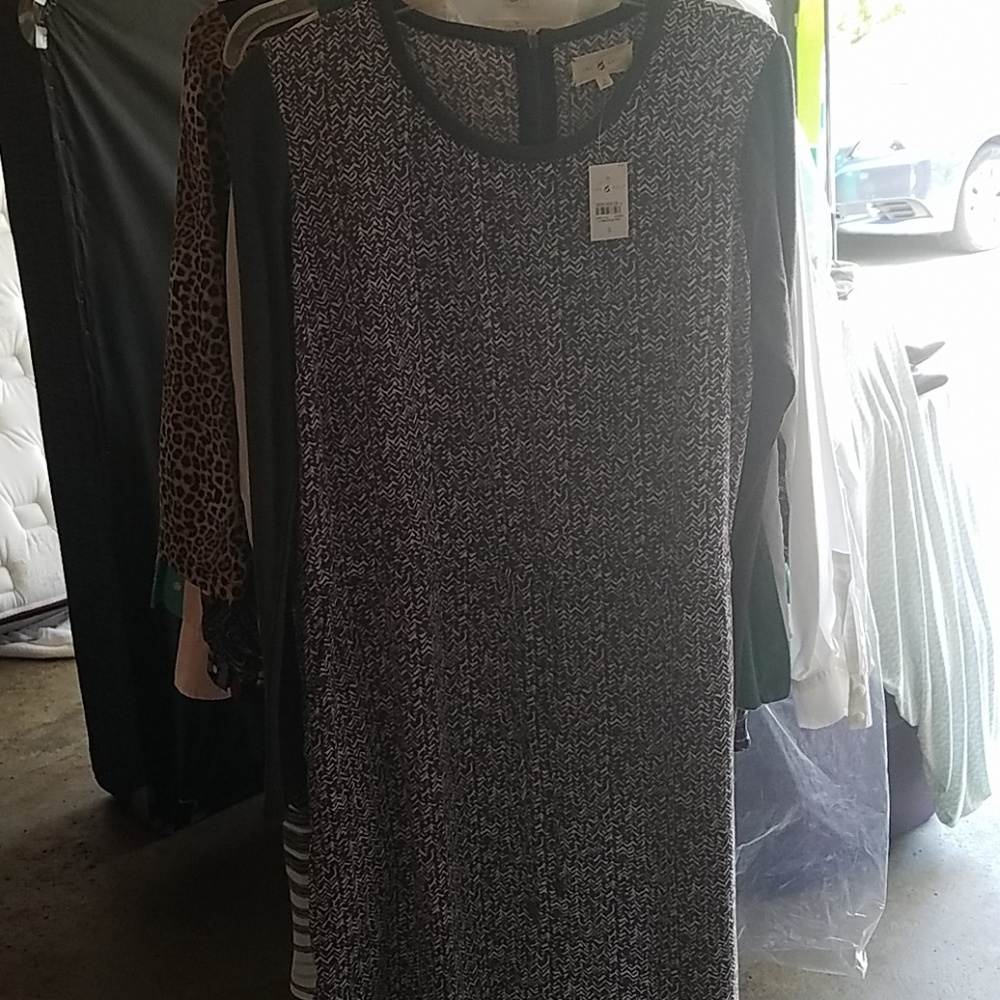Loft lou and grey dress.
